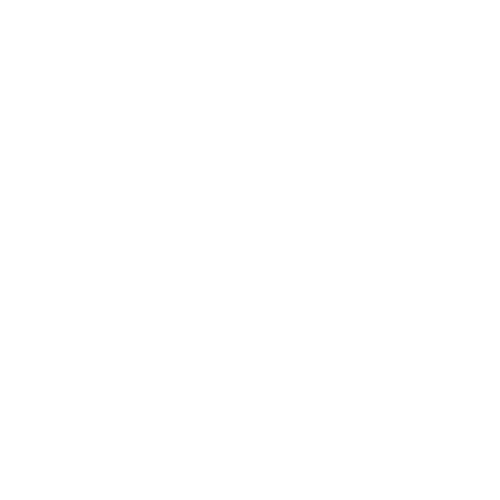 LifeID Logo